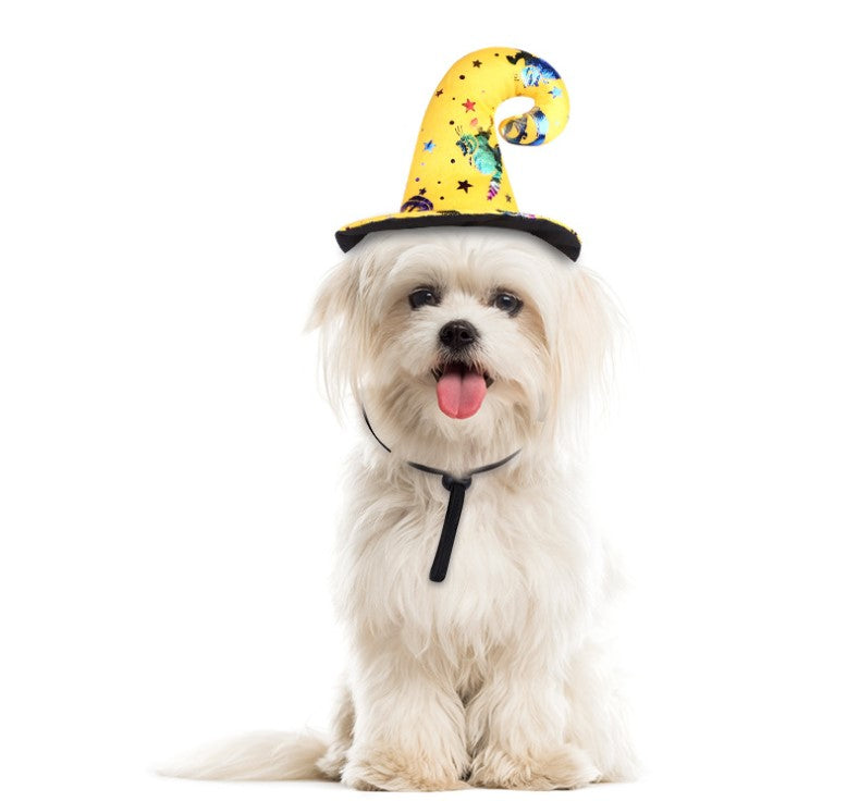 Halloween Pet Clothes Cat and Dog