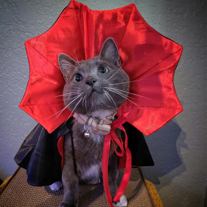 Halloween costume witch vampire  for pets