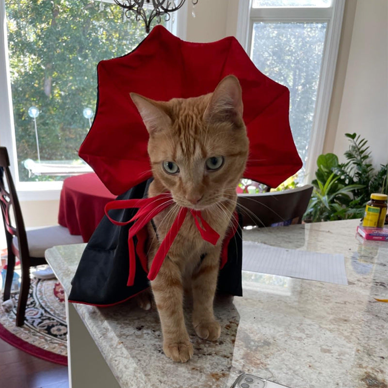 Halloween costume witch vampire  for pets